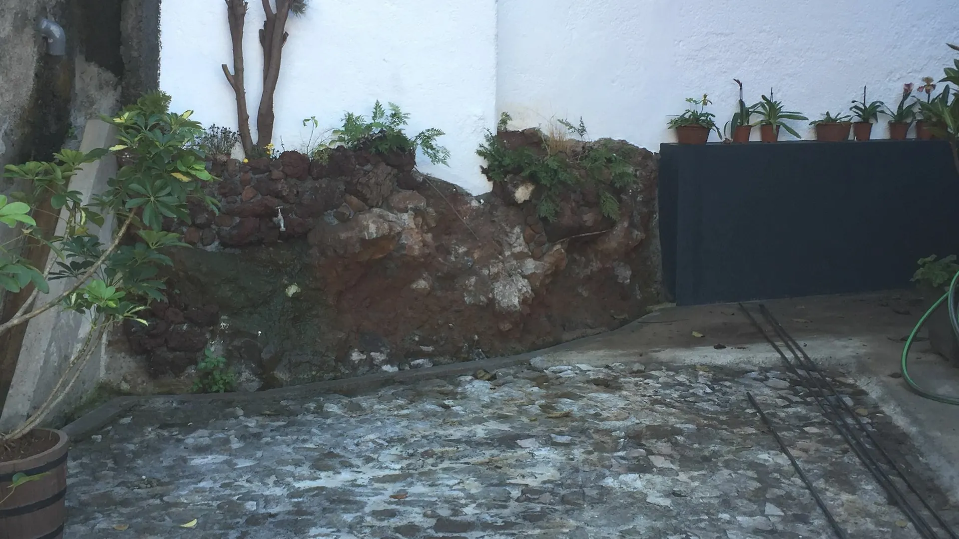 Rochinha Cozy Home Funchal  Portugal