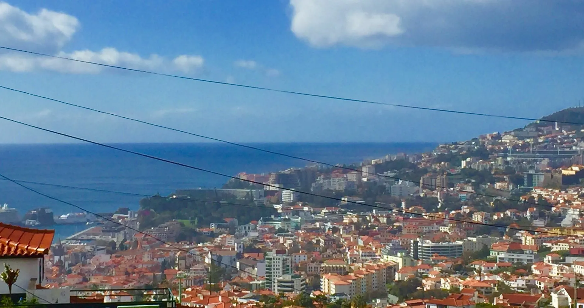 Rochinha Cozy Home Funchal  Apartamento
