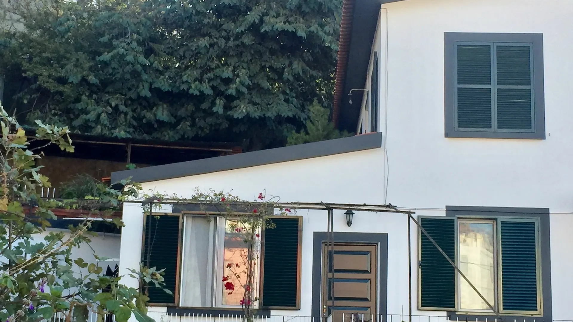Rochinha Cozy Home Funchal  Funchal (Madeira)