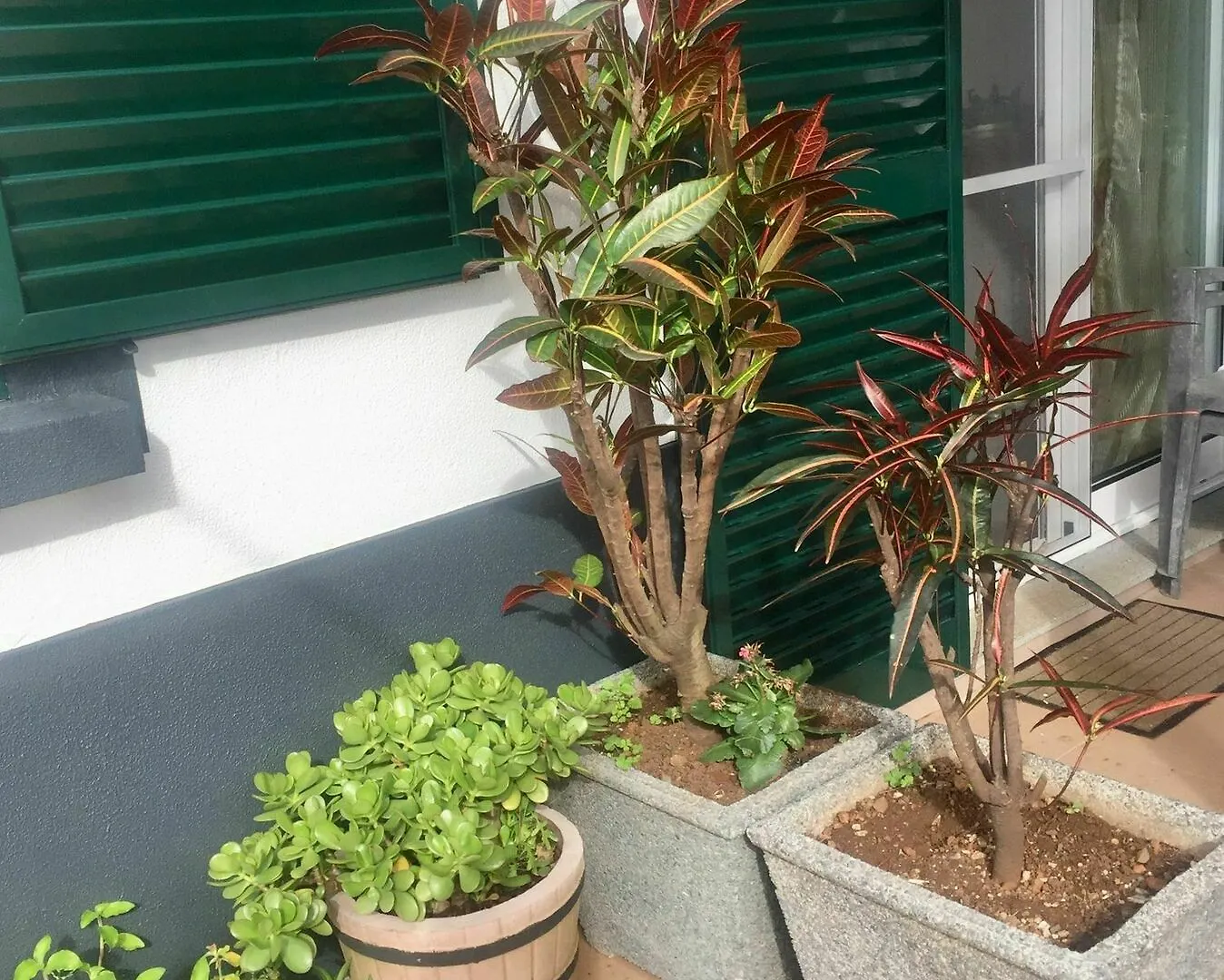 Apartamento Rochinha Cozy Home Funchal